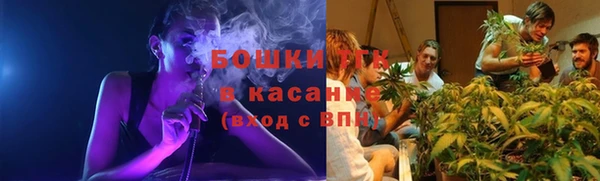 индика Гусь-Хрустальный