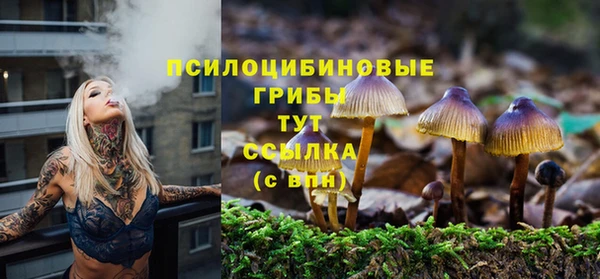 apvp Дмитровск